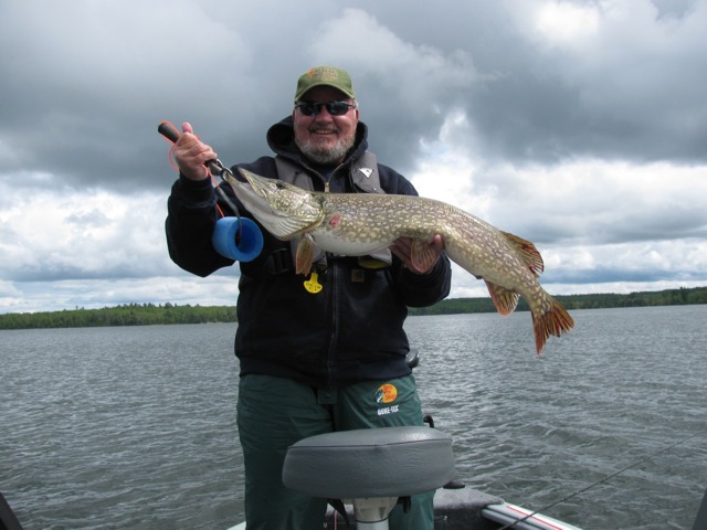 Dan's 39 inch Lake of the Woods Northern